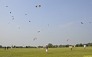 Parco San Giuliano  - 395